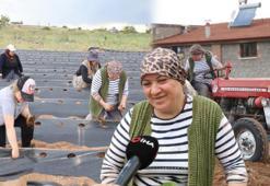 İnternetten video izleyerek öğrendi! Bir avuç ürünle başladı, işini 10 kat büyüttü