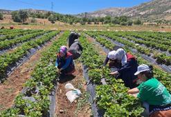 Bozkır’da kadın çiftçilere destek ziyareti!