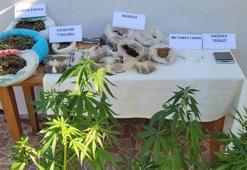 Tekirdağ'da eve giren jandarmalar kaçak servetle karşılaştı! Yapılan aramada yüzlerce yasadışı ürün bulundu