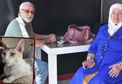 Minibüsten kaçtı, ödül bile koydular! Yaşlı çift 3 gündür Sivas'ta 'zorunlu' misafir