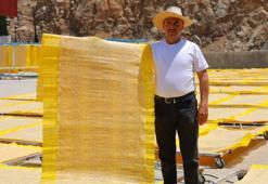 Türkiye çorbasını seviyor, Avrupa cips olarak tüketiyor! Hem istihdam sağlıyor hem de ihracatı güçlendiriyor