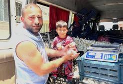 Ekmek parası için il il geziyorlar! Son durak Eskişehir oldu