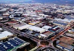 Adana'da zeytinlik alan tartışması: Sanayi ve tarım dengesi nasıl kurulacak?