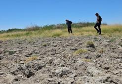 Tehlike çanları çalıyor... Türkiye'nin kalbi susuz kaldı: Van ve Bitlis kurudu! ' Bizi perişan etti'