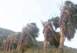 Meteoroloji'den Muğla’nın 9 ilçesi için fırtına uyarısı