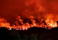 7 şehirde orman yangınıyla mücadele! Sakarya'daki yangın Bilecik'e sıçradı, İzmir'de 455 ev tahliye edildi