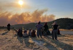 Türkiye'nin ciğerleri yanıyor! Müdahale havadan ve karadan devam ediyor