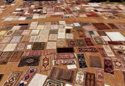 Antalya ve ABD arasında 100 yıllık satış: 8 bin dolara alıcısı var! '48 derecede yatıyor'