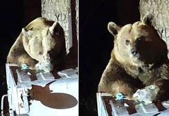 Turizm cennetinde şaşırtan manzara! Gören telefonuna sarılıp kaydetti