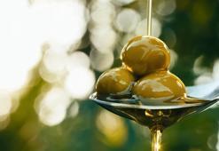 Türkiye'nin hazinesi 'sıvı altın' zeytinyağı! Dünyanın en iyisi bu ilçede yetişenler seçildi