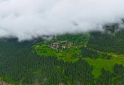 Tosun Paşa'daki Yeşil Vadi gibi! Gümüşhane'deki cennetin adı: Santa Harabeleri