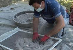 Samsun'da köylülerin baş belası! İlk kez barakada fark etti, kabusu yeni yöntemiyle bitirdi