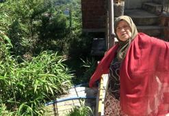 Rusya'dan getirip mahalle arasına diktiler! Rize'de evleri binaları sardı: Köylü isyan etti