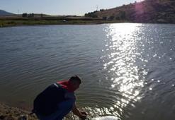 Konya'da bu meslekle uğraşanlar yaşadı: 182 bin tane bırakıldı