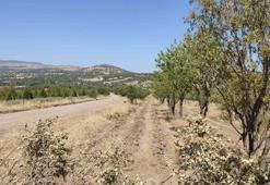 Konya Selçuklu'da yüzde 70 hibe veriliyor: Bu projeye herkes başvurabiliyor