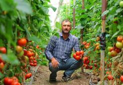 Türkiye'nin dört bir yanında tüketiliyor! Kilogram fiyatı 20 liradan satışa sunuluyor