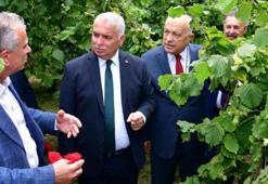 Trabzon Valisi dayanamadı, isyan etti: Fındık zamanı bir araya geliyorlar