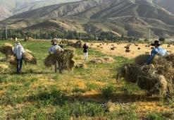 Hakkari Yüksekova'da kızgın güneş altında ekmek mücadelesi