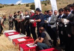 Tüm Türkiye'de artışa geçti! Ne yaptılarsa olmadı, çözüm olarak Yozgat'ta binlercesi doğaya salındı!