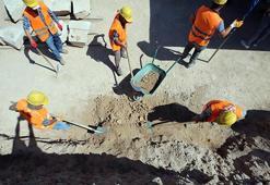 Aydın'da keşfedildi, eşsiz bir özelliği var! Tam 2 bin yıllık, en büyüğü bulundu