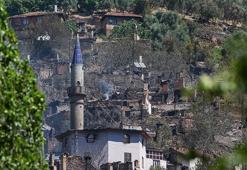 İzmir'de hiçbir işe yaramadı! Artık hayalet köy oldu: Hepsi öldü, 40 yıllık emek gitti