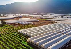 Konya'da tarıma dev hamle: 42 çiftçiye 525 metrekare alan hibe edilecek! 14 Temmuz'da sonra eriyor