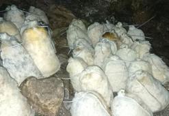 Konya'da bir mahalle bu mağaradan geçiniyor: Kimse bu işe girmek istemez, onlar keyif alıyor