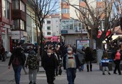 Eskişehir'de yüzlercesi bina diplerinde görüldü: İşlek caddeyi istila ettiler