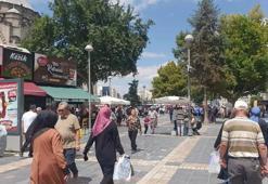 Kayseri'de her mahallede satılıyor: Kilosu 250 TL'ye alıcısı var!