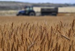 Türkiye tarımsal hasılada rekor kırarak dünyada ilk 7 ülke arasına girdi