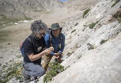 Tunceli'nin zirvelerinde keşif zamanı: Bilim insanları yeni türlerin peşinde