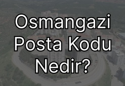 Bursa Kestel Posta Kodu Nedir?