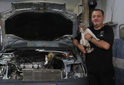 Trabzon sanayisinde duygulandıran dostluk: Yusuf Usta'nın mesai arkadaşı 'Psikopat' esnafın maskotu haline geldi