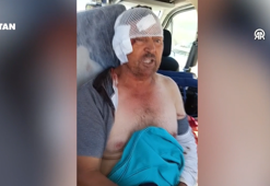 Antalya'da aslan dehşeti! Saldırıya uğrayan çiftçi o anları anlattı: Şu anda ben de belki de yoktum