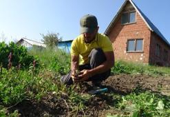 Hasadı sürüyor, doğada toplanması yasak! Kilogramı 2 bin ila 3 bin lira arasında alıcı buluyor