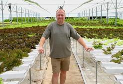 Toprağı yok ama yılın 12 ayı ürününü hasat edip para kazanıyor! Kocaeli'nde üretmeye başladı