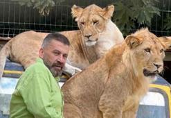 Antalya'daki aslan saldırısının ardından sahibi konuştu: 'İnsanlara saldırmazdı, sosyal bir hayvandı'