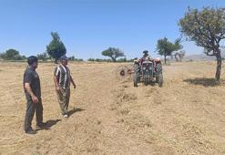 Beyşehir 'de hasat zamanı! Hibe desteğiyle ekildi, üretici karlı çıktı