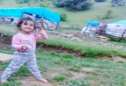 Anne baba hapse girip çıktı: 3,5 yaşındayken 7 yıl önce Tokat'ta kaybolan Evrim nerede?