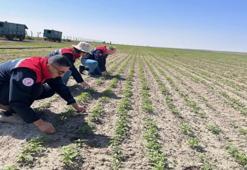 80 yıl sonra başladı: Konya'da 4 ayda 5 metre uzayacak! Milim milim ölçülüyor