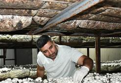 Batmanlı girişimci köyünde kurduğu tesisle işsizliği bitirdi! İstanbul'da işçiydi memleketinde patron oldu