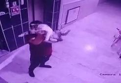 Konya'da akıl almaz vahşet: Hamile kediyi yere fırlatan şahıs gözaltında