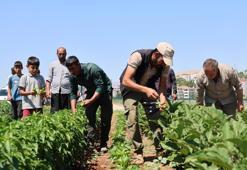 "Vatandaş sebzeyi pahalı almasın" dedi! Market ve hal fiyatlarının yüzde 50 altına satacak