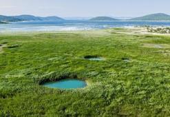 Konya'nın geçim kaynağı kurudu: Göz göz ortaya çıktı