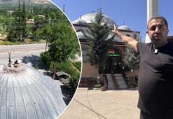Tokat'ta yuvadan atılan leyleğe cami imamı sahip çıktı! 'Garip'i garip bırakmayacağız'