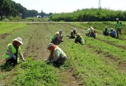 Karadeniz'in en büyük fidanlığı! Yangın bölgelerine on binlerce fidan göndermeye hazır