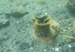 20 yıldır bulunamamıştı! Çanakkale'deki antik liman kentinde ortaya çıktı