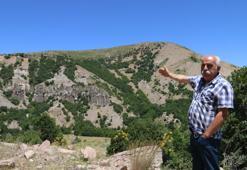 Sivas'ta esrarengiz yapı! Görüntüsü peri bacalarını andırıyor, efsanesi dilden dile dolaşıyor; ‘Allah'ım beni taş kestir beni bu köye gelin etme'