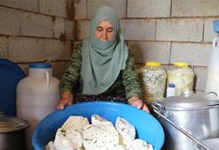 Van'da ailelerin geçim kaynağı oldu! Kadınların elinden toprağın altına giriyor oradan da paraya dönüşüyor