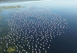 Jandarma bölgede nöbete başladı: Yozgat'ın hazineleri izlenmeye başlandı